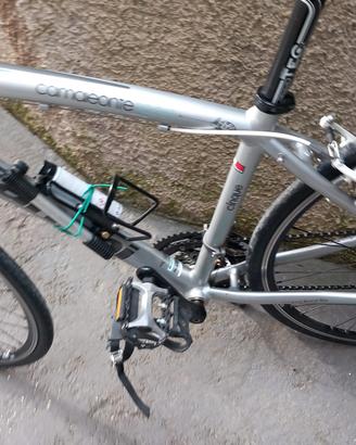 Bicicletta Bianchi camaleonte