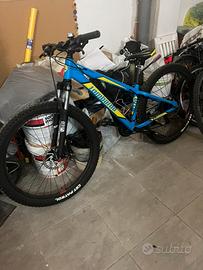 Bici lombardo