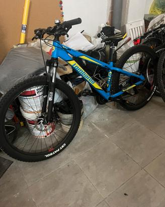 Bici lombardo