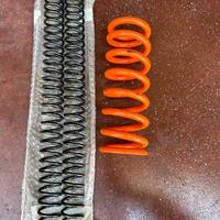 Molle ammortizzatori WP