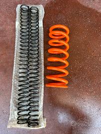 Molle ammortizzatori WP