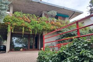 Villa singola con uliveto