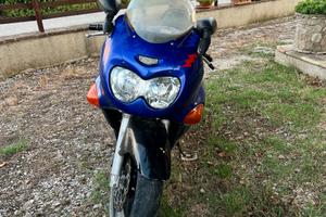 Moto sport