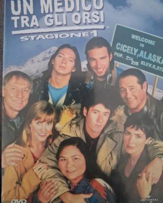 dvd. Un medico tra gli orsi