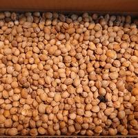 Noccioli di ciliegia 