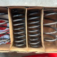 Molle assetto Eibach