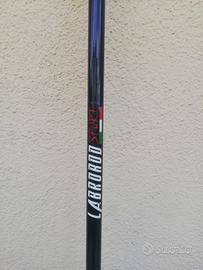 Canna surfcasting ripartita (due pezzi) 