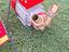 Immagine 4