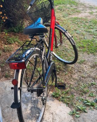 bicicletta 