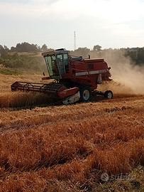 Mietitrebbia laverda 3350 al