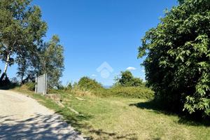 RUSTICO A ORTE