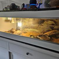 Vendo pogona+ accessori