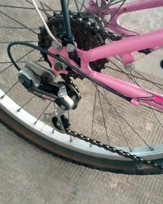 Bicicletta 