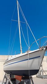 Barca a velametri 7,30 Edel 4