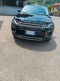 Evoque range rover