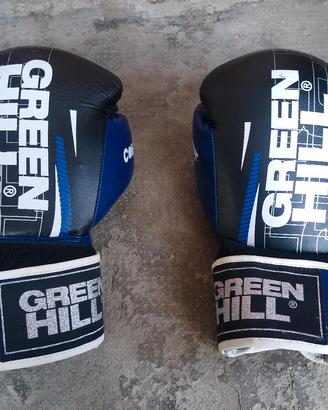 Guanti Boxe Green Hill N12