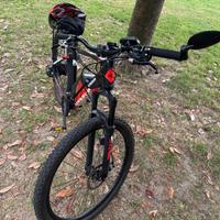 Bicicletta elettrica