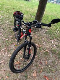 Bicicletta elettrica