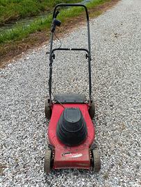 Rasaerba Tosaerba Tagliaerba erba elettrico