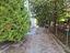 Immagine 18