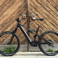 E-BIKE Whistle Rush SX (PROMO)