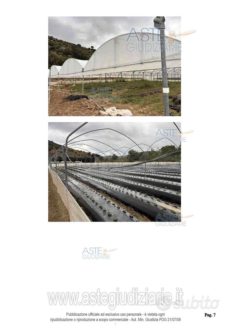 Terreno Agricolo Petrizzi [A4352968] - Vista 4