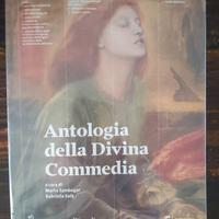 libri