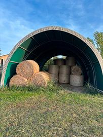 Tunnel capannone agricolo