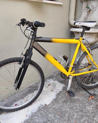 MTB  da uomo ruota 26"