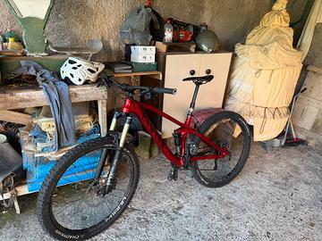 Bici canyon spectral