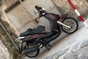 Beverly 500 bordeaux