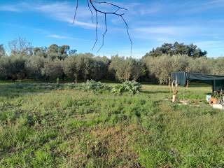 Terreno agricolo - Vista 3