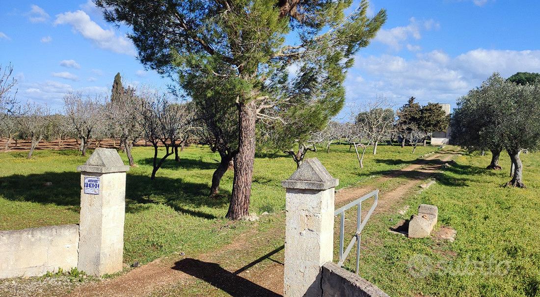 Casolare rustico da ristrutturare - Vista 2