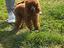Immagine 3
