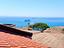 Immagine 20