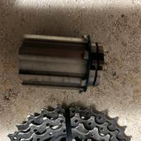Corpetto campagnolo 11v