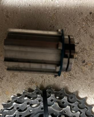 Corpetto campagnolo 11v