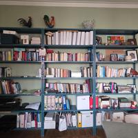 libreria stile industriale splendido colore