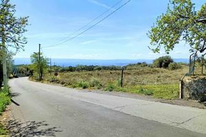 Terreno su strada a santa maria di licodia