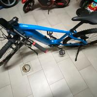 Bicicletta elettrica