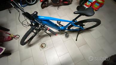 Bicicletta elettrica