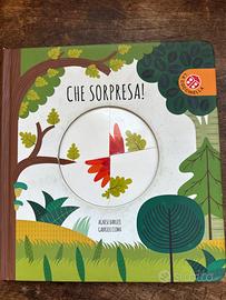 Che sorpresa! - Agnese Baruzzi Gabriele Clima