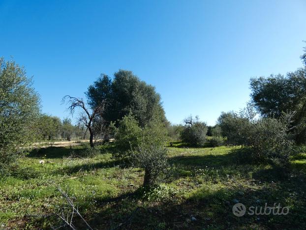 Siracusa, c.da Chiusazza, terreno 1,7 ettari