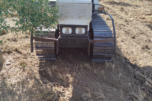 Lamborghini cingolato trekker tk