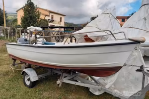Barca con motore