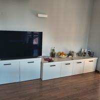 Coppia di mobili sala