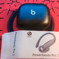 Beats Powerbeats pro 2.