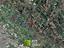 Immagine 29