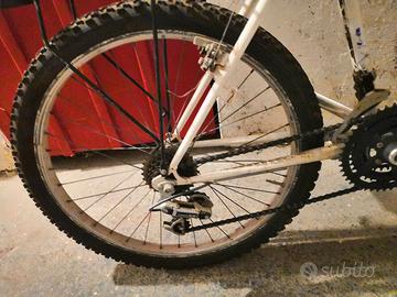 Bici Mountain Uomo