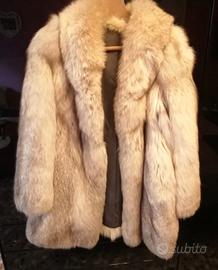 PELLICCIA VERA DI GROELANDIA